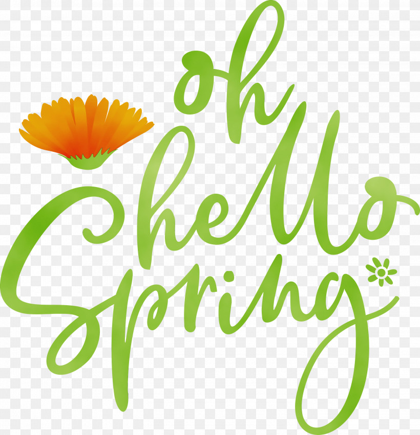 Floral Design, PNG, 2890x3000px, Hello Spring, Cut Flowers, Daisy Family, Floral Design, Flower Download Free