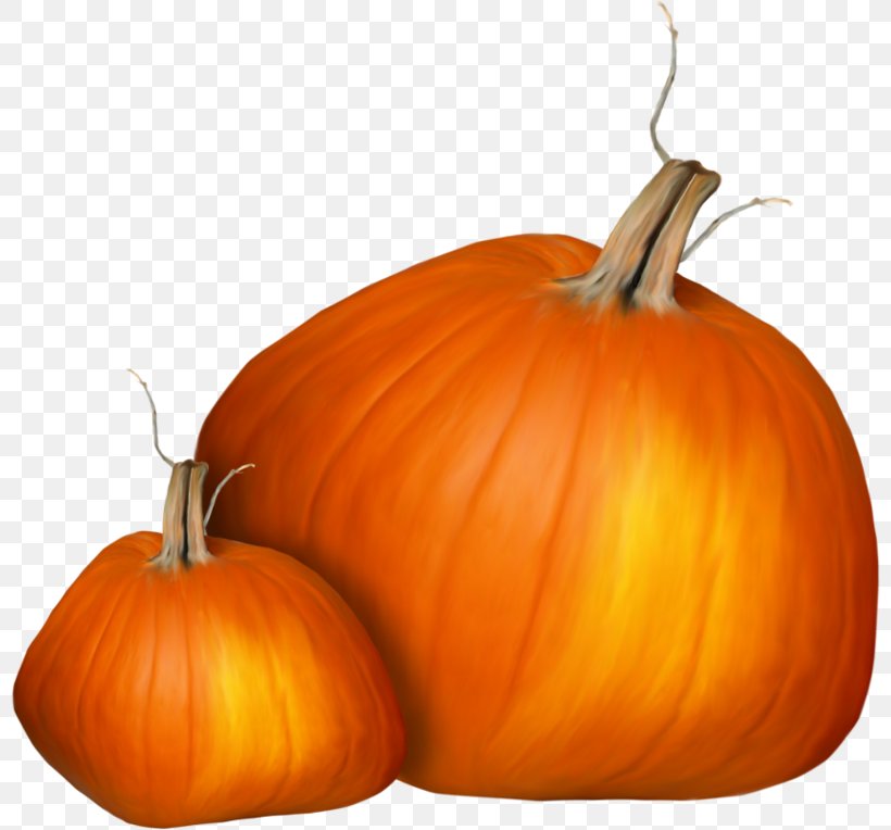 Jack-o'-lantern Calabaza Pumpkin Gourd Squash, PNG, 800x764px, Jacko Lantern, Calabaza, Commodity, Cucumber Gourd And Melon Family, Cucurbita Download Free
