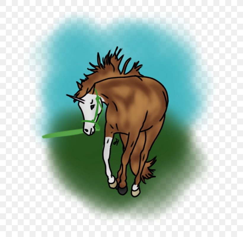 Mane Foal Mustang Stallion Colt, PNG, 763x800px, Mane, Art, Bridle, Cartoon, Colt Download Free