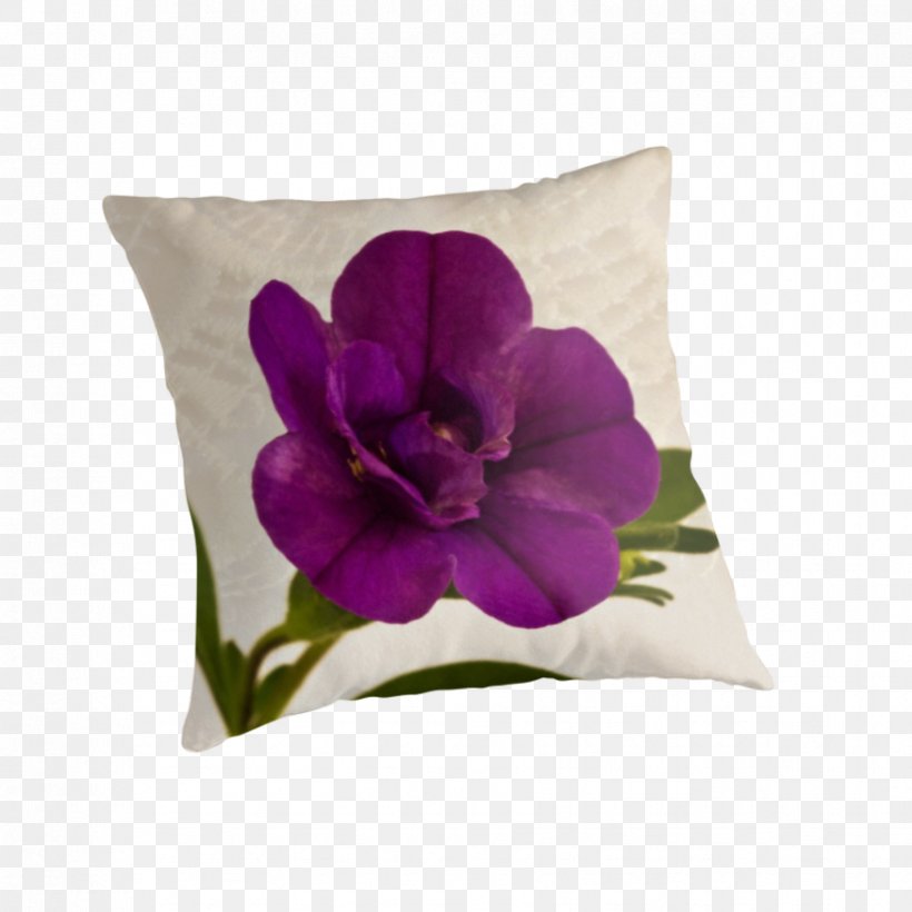 Throw Pillows Cushion Violet Family, PNG, 875x875px, Throw Pillows, Cushion, Family, Flower, Flowering Plant Download Free