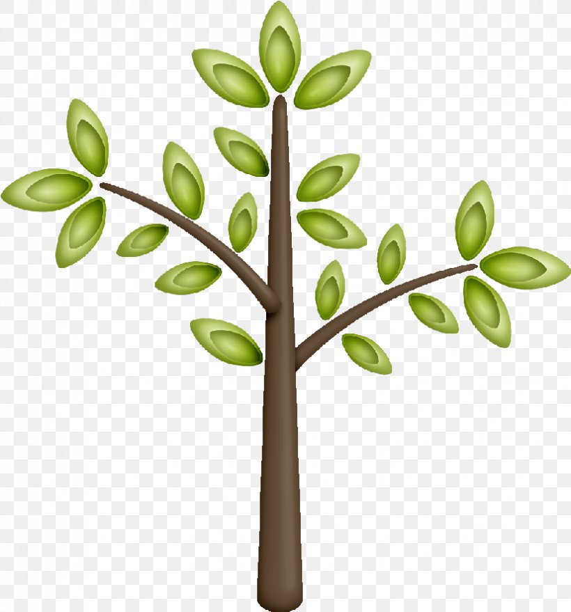 Twig Leaf Tree Flower Plants, PNG, 826x886px, Twig, Branch, European Ash, Flower, Leaf Download Free