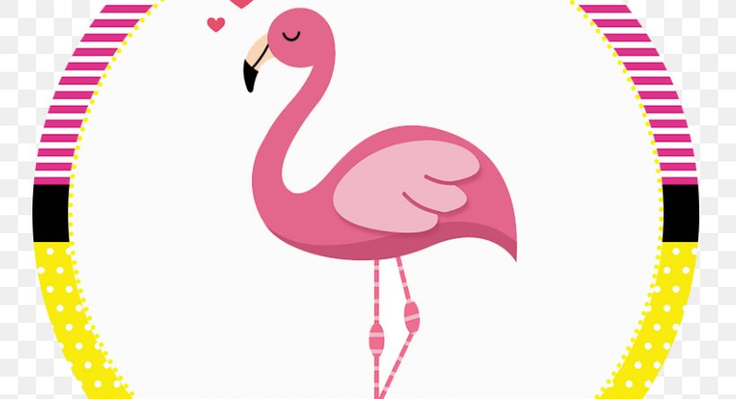 Flamingos Bird Party Birthday Clip Art, PNG, 800x445px, Flamingos, Baby Shower, Beak, Bird, Birthday Download Free