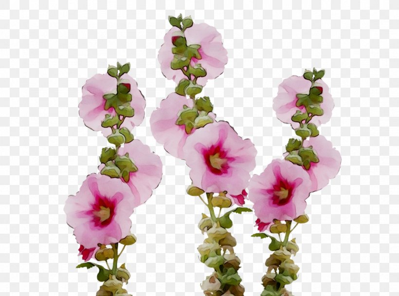 Floral Design Cut Flowers Petal Pink, PNG, 1103x818px, Floral Design, Artificial Flower, Blossom, Color, Cut Flowers Download Free