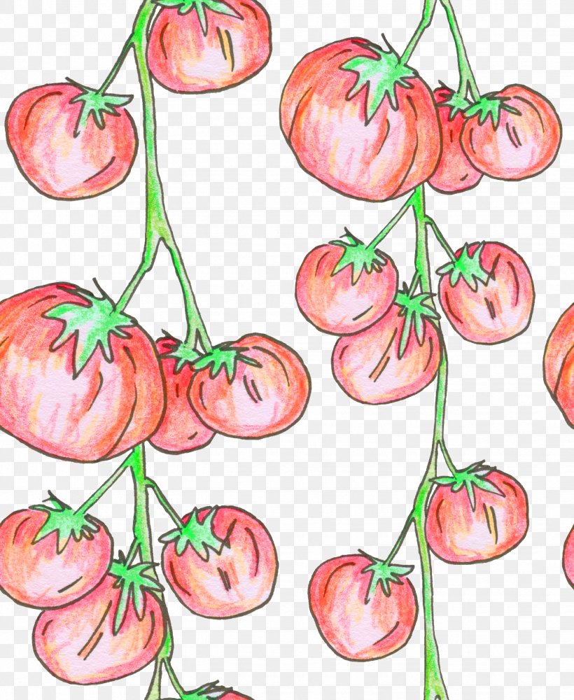 Tomato Clip Art Plant Stem Plants, PNG, 1438x1755px, Tomato, Cherry, Flower, Flowering Plant, Food Download Free