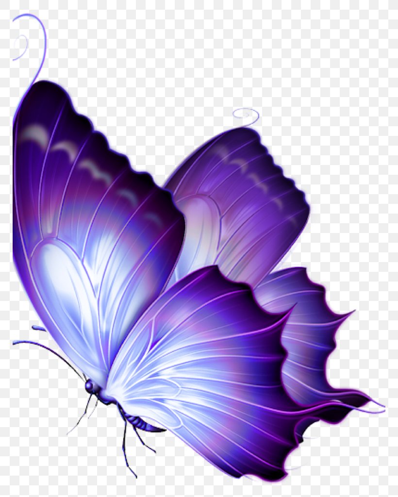 Butterfly Drawing Clip Art Image Papillon, PNG, 768x1024px, Butterfly, Blue, Coloring Book, Drawing, Glasswing Butterfly Download Free