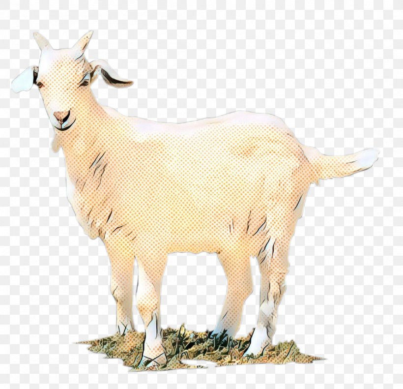 GOAT Sheep Fauna Terrestrial Animal, PNG, 1104x1066px, Goat, Animal, Animal Figure, Cowgoat Family, Fauna Download Free
