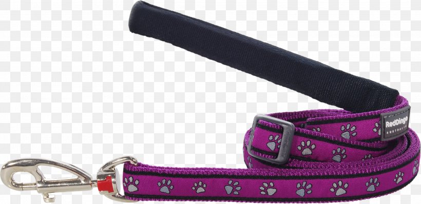 Leash Dingo Dog Cat Collar, PNG, 3000x1457px, Leash, Animal, Belt, Cat, Collar Download Free
