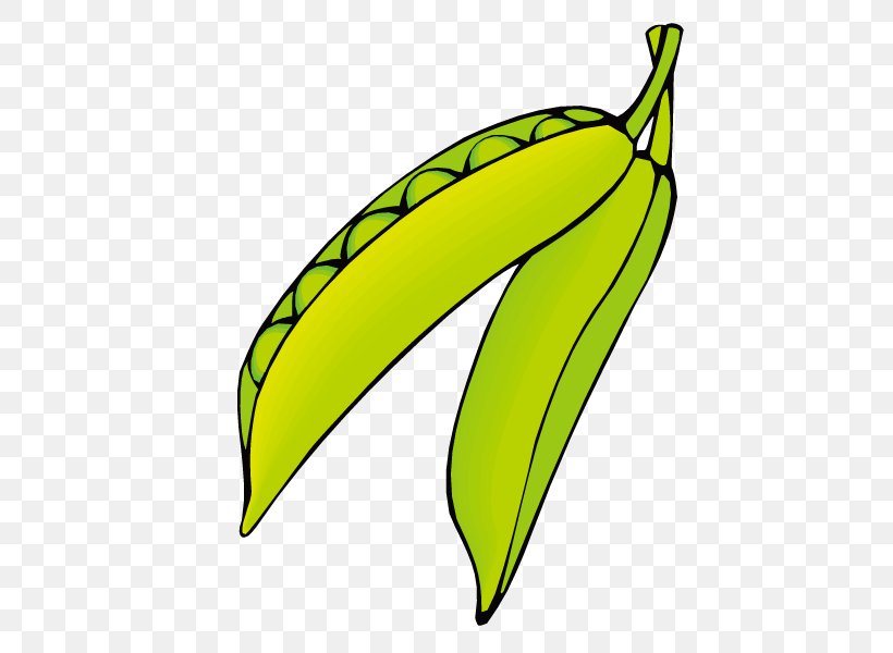 Pea Euclidean Vector Vegetable Clip Art, PNG, 600x600px, Pea, Banana, Banana Family, Canning, Food Download Free