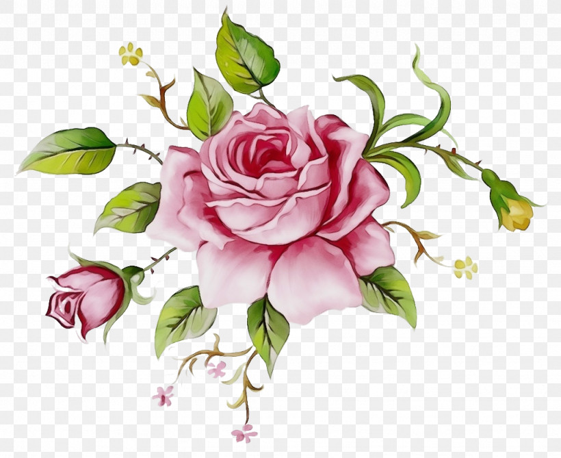 Garden Roses, PNG, 1024x836px, Watercolor, Artificial Flower, Cut Flowers, Floral Design, Floristry Download Free