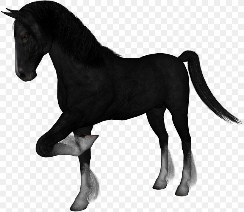 Mustang Foal Stallion Mare Pony, PNG, 1200x1043px, Mustang, Animal Figure, Arabian Horse, Black And White, Breed Download Free