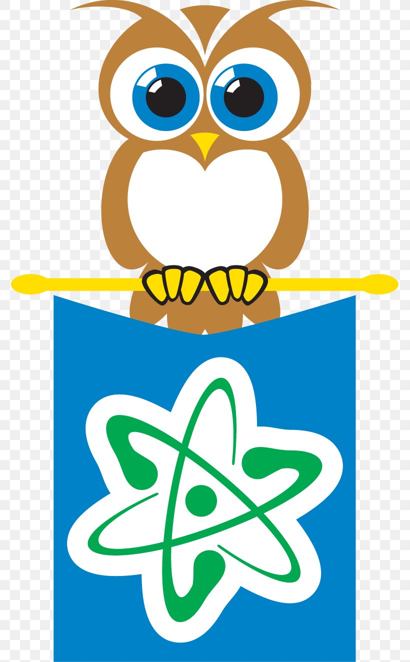 Owl Science Beak Engineering Clip Art, PNG, 775x1324px, Owl, Area, Artwork, Beak, Bird Download Free
