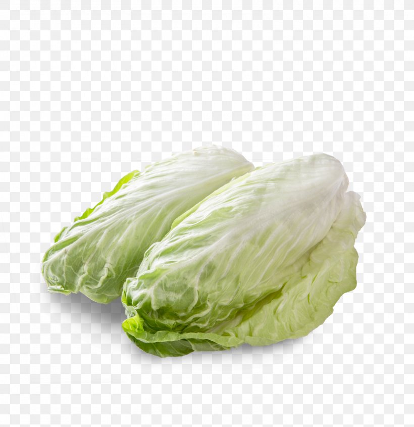 Romaine Lettuce Spring Greens Cabbage Leaf Vegetable, PNG, 1600x1650px, Romaine Lettuce, Cabbage, Food, Leaf Vegetable, Lettuce Download Free