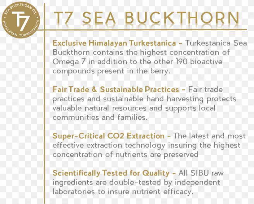 Sea Buckthorn Oil Sea Buckthorns Document Seed Oil, PNG, 958x769px, Sea Buckthorn Oil, Area, Berry, Buckthorn, Carbon Dioxide Download Free