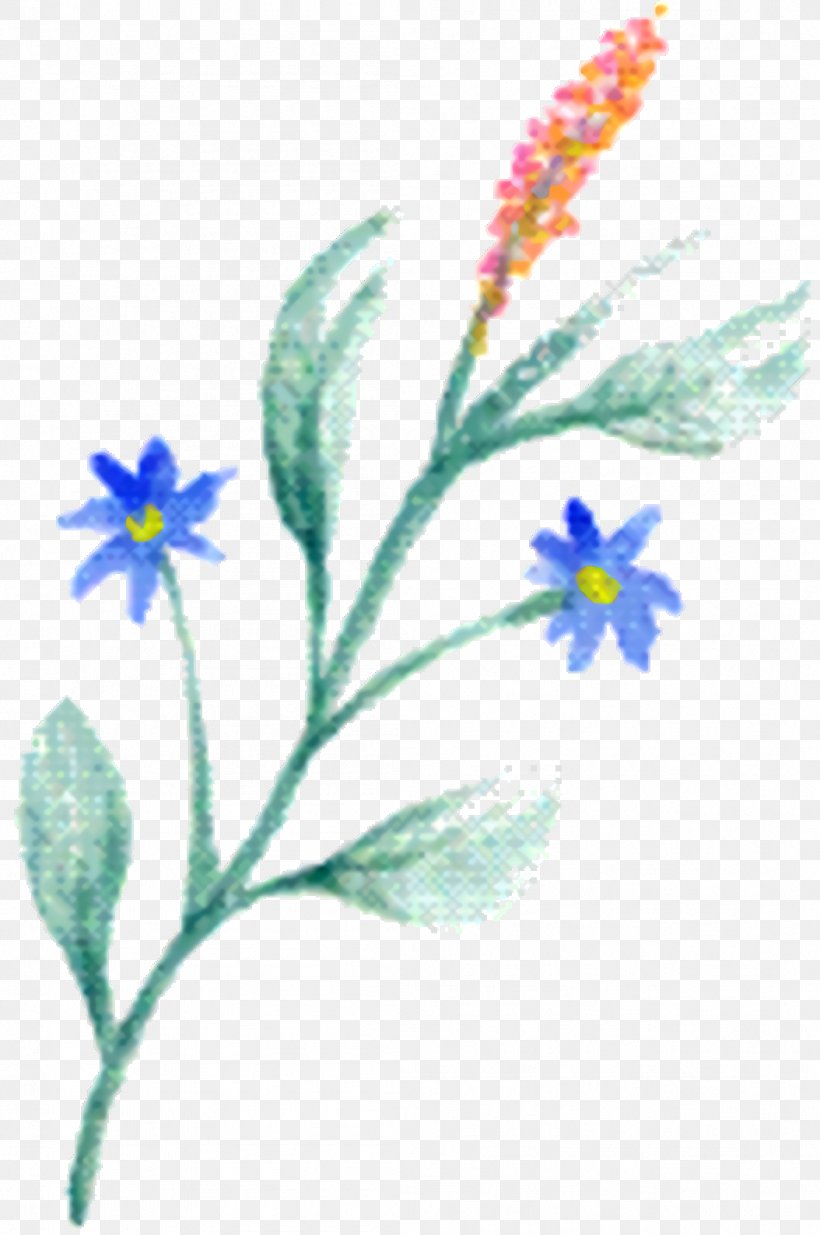 Watercolor Flower Background, PNG, 1054x1588px, Petal, Borage Family, Botany, Branch, Flower Download Free