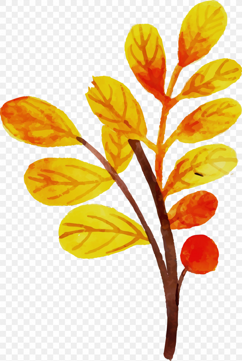 Plant Stem Leaf Petal Plants Plant Structure, PNG, 2013x3000px, Autumn Leaf, Biology, Colorful Leaf, Leaf, Paint Download Free