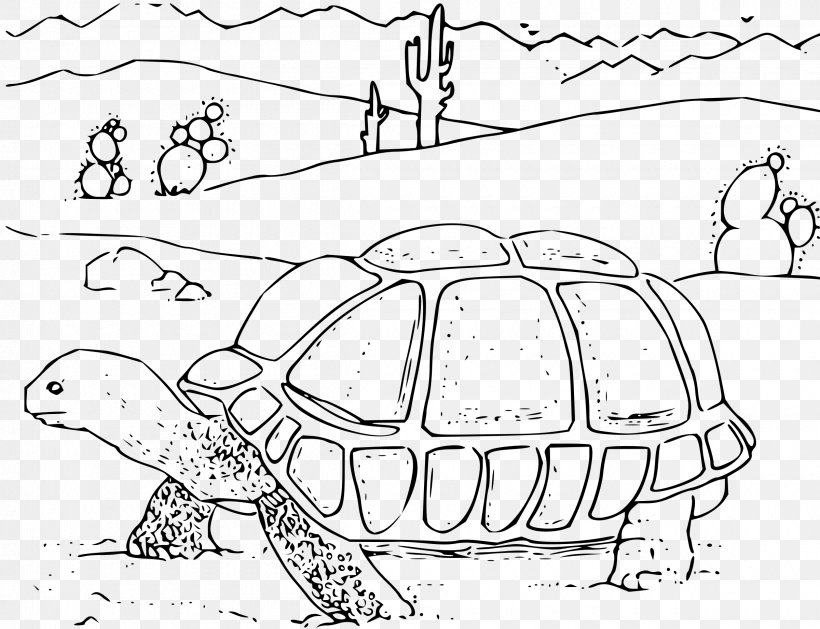Turtle Gopherus Desert Tortoise Coloring Book Clip Art, PNG, 2400x1843px, Turtle, Area, Art, Black And White, Carnivoran Download Free