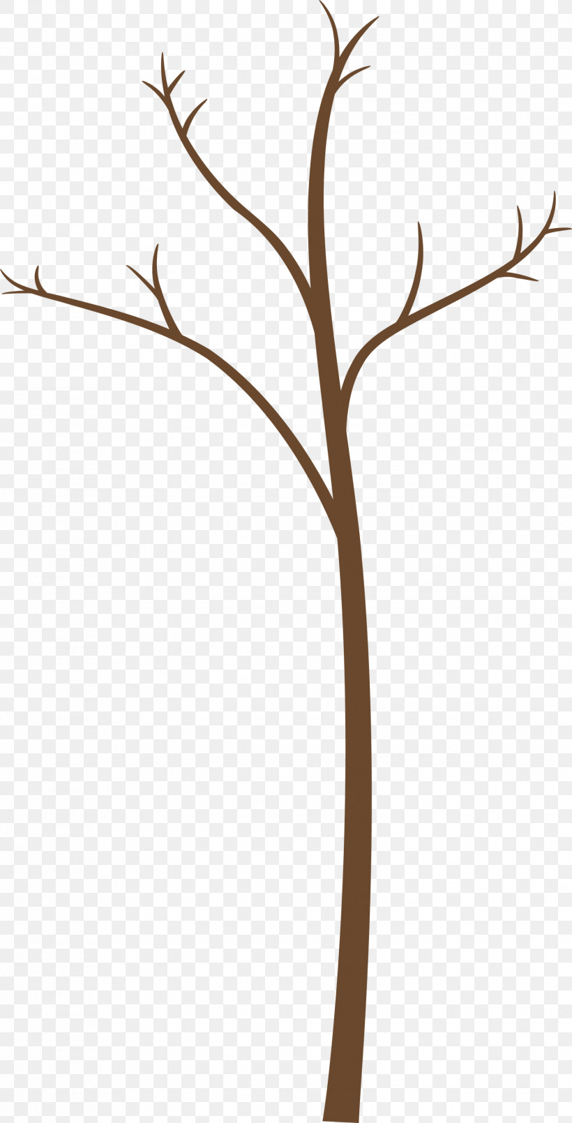 Branch Twig Leaf Plant Plant Stem, PNG, 1527x2999px, Abstract Tree, Branch, Cartoon Tree, Flower, Leaf Download Free