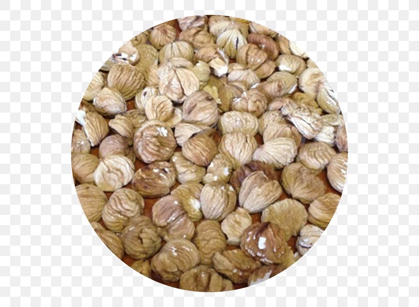 Cockle Commodity Ingredient, PNG, 600x600px, Cockle, Clam, Clams Oysters Mussels And Scallops, Commodity, Food Download Free