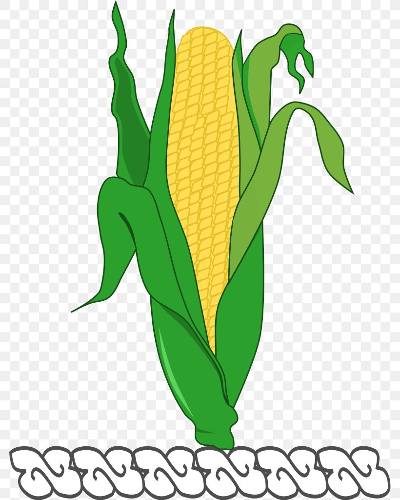 Maize Tree Plant Stem Clip Art, PNG, 782x1024px, Maize, Commodity, Food, Grass, Grass Family Download Free