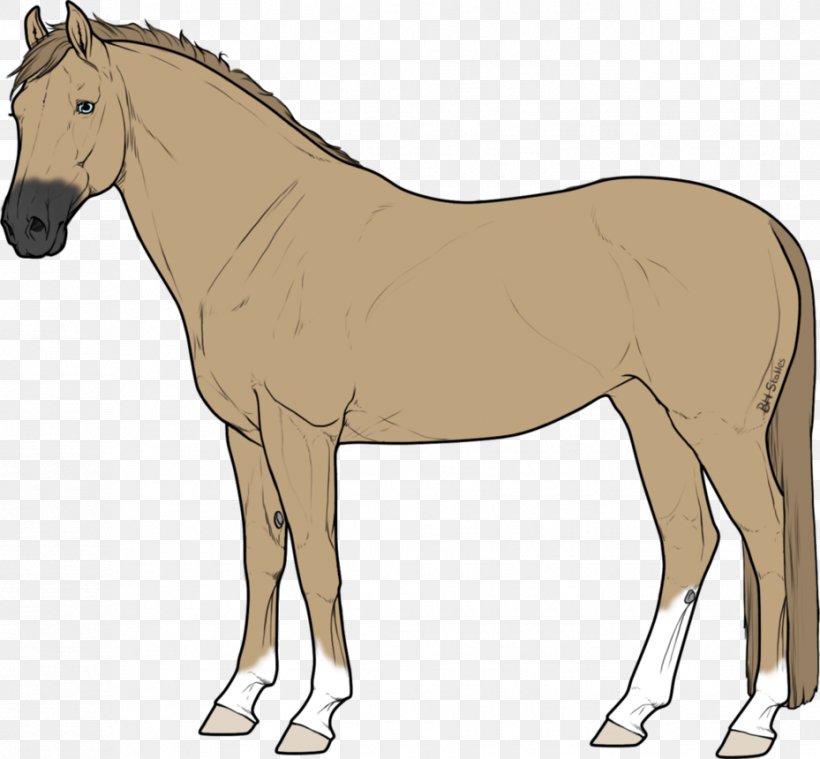 Mule Foal Stallion Mare Colt, PNG, 929x860px, Mule, Animal Figure, Bridle, Cartoon, Colt Download Free