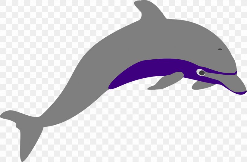 Porpoise Tucuxi Wholphin Clip Art, PNG, 1280x840px, Porpoise, Common Bottlenose Dolphin, Dolphin, Fauna, Fin Download Free