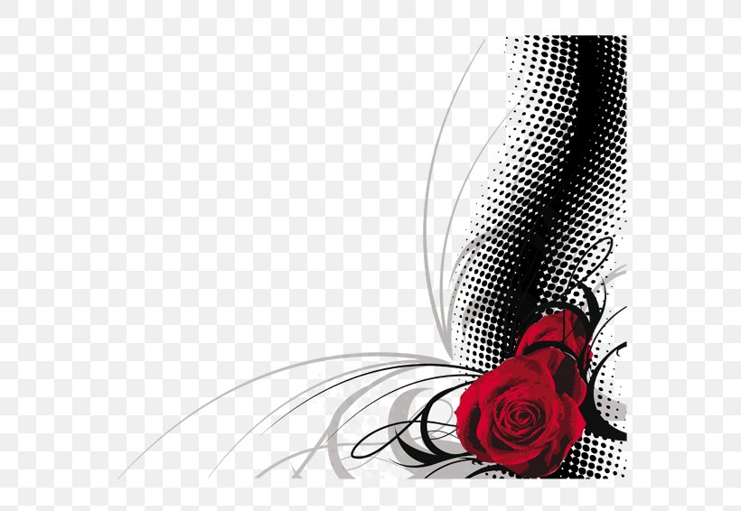Rose Valentines Day Wallpaper, PNG, 600x566px, Rose, Black, Black And White, Black Rose, Heart Download Free