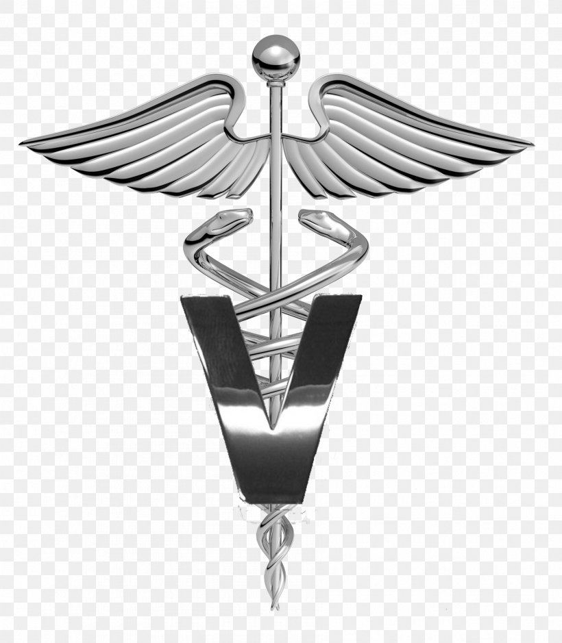 Staff Of Hermes Caduceus As A Symbol Of Medicine Image Caduceus As A Symbol Of Medicine, PNG, 1787x2048px, Staff Of Hermes, Caduceus As A Symbol Of Medicine, Health, Health Care, Hippocrates Download Free