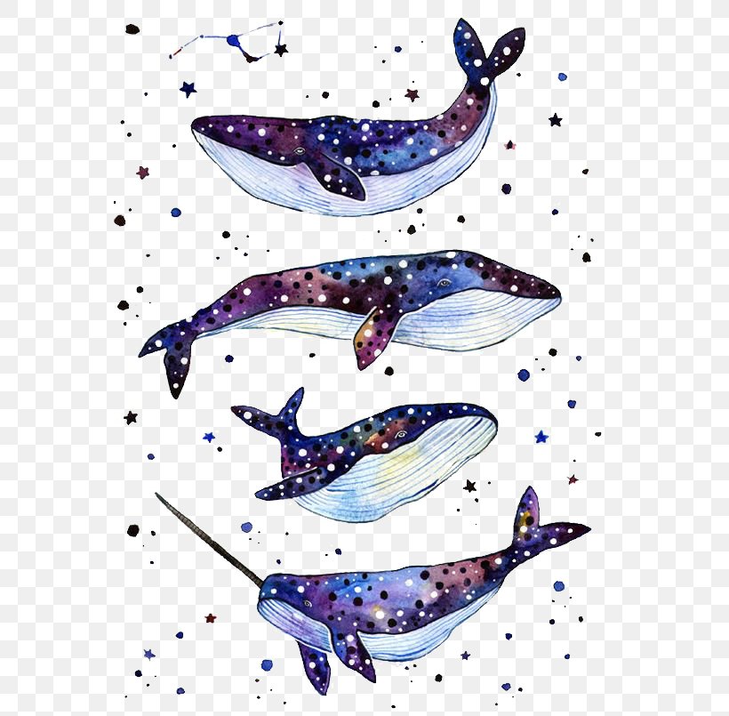 Whale Shark Paper Tattoo Whale Shark, PNG, 564x805px, Shark, Abziehtattoo, Art, Automotive Design, Blue Whale Download Free