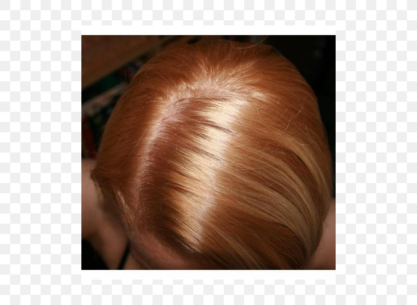 Brown Hair Hair Coloring Blond Garnier Png 800x600px Brown Hair