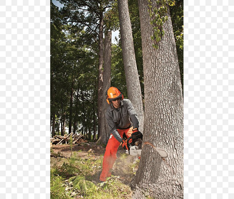 Chainsaw Stihl Felling Saw Chain Tree, PNG, 700x700px, Chainsaw, Adventure, Arborist, Chain, Cutting Download Free