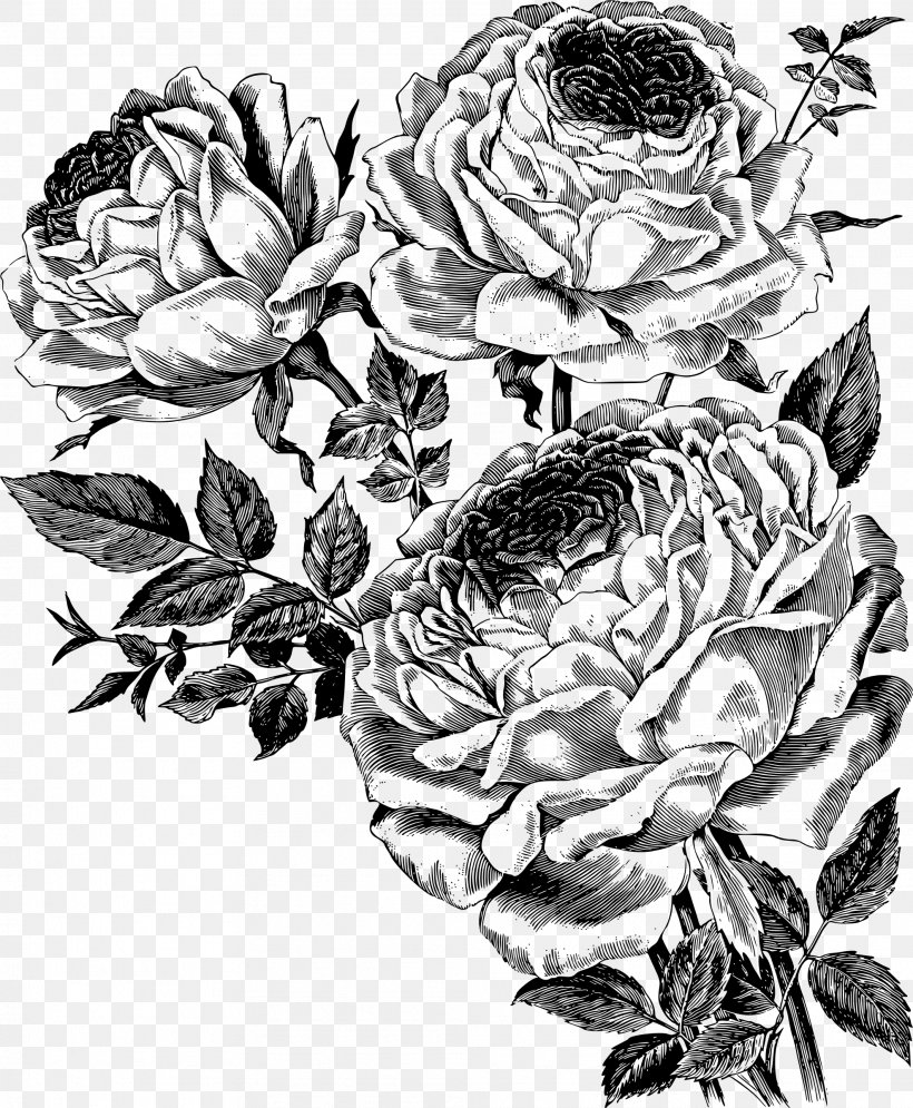 Drawing Flower Royalty-free, PNG, 1976x2400px, Drawing, Art, Artwork, Black And White, Flora Download Free