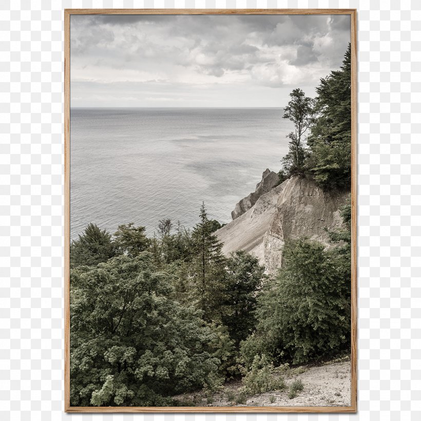 Møns Klint Stevns Klint Cliff Shore Photography, PNG, 1024x1024px, Cliff, Coast, Denmark, Escarpment, Fineart Photography Download Free