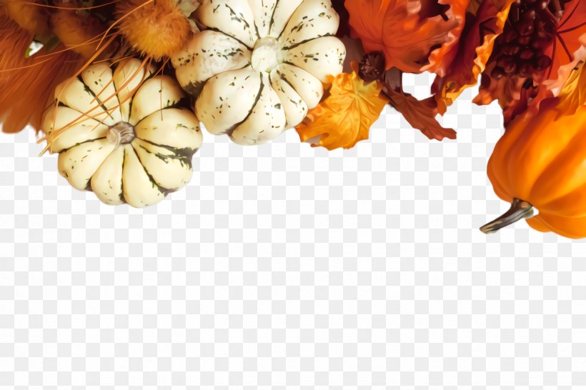 Orange, PNG, 2448x1632px, Leaf, Autumn, Orange, Plant, Vegetarian Food Download Free