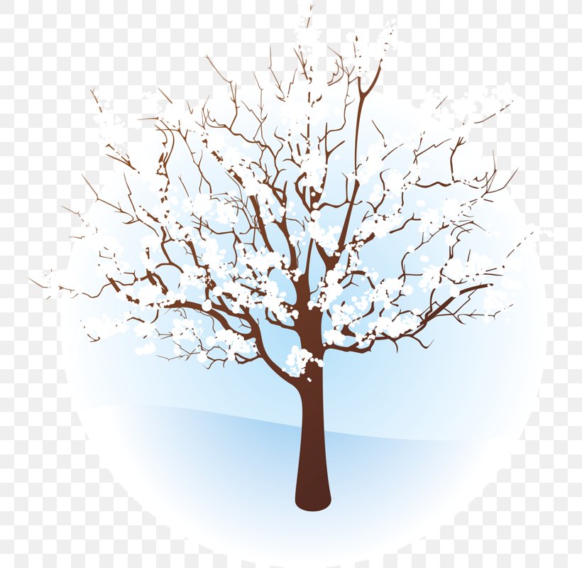 Tree Winter Branch Clip Art, PNG, 741x800px, Tree, Autumn, Branch, Plant, Plant Stem Download Free