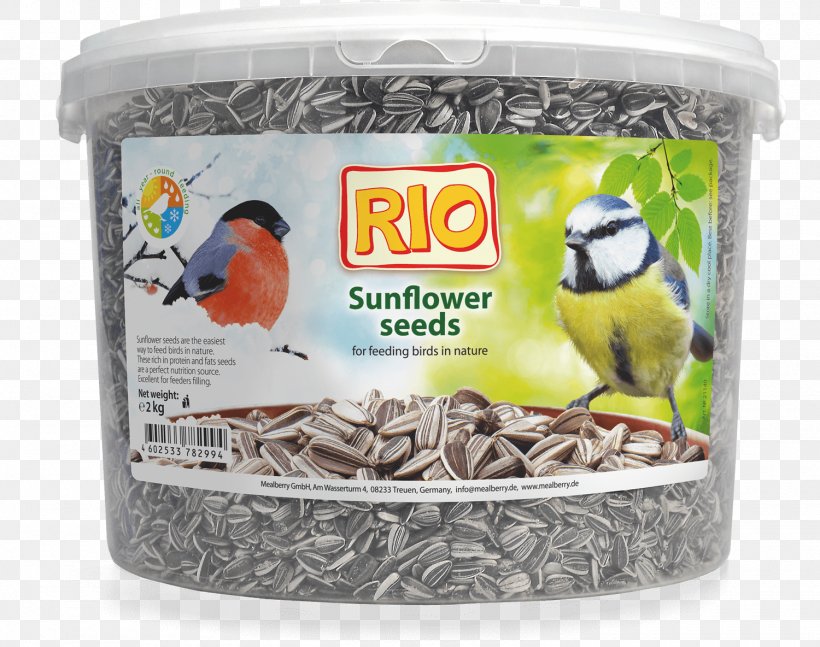 Bird Food Sunflower Seed Common Sunflower Bird Feeders, PNG, 1500x1184px, Bird Food, Bird, Bird Feeders, Bird Supply, Common Sunflower Download Free