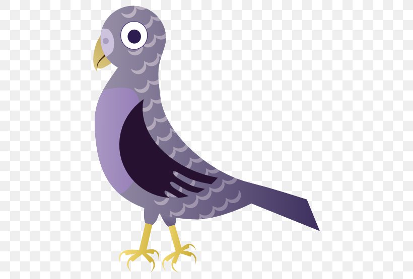 Bird Beak Sparrow Clip Art, PNG, 555x555px, Bird, Beak, Drawing, Fauna, Feather Download Free
