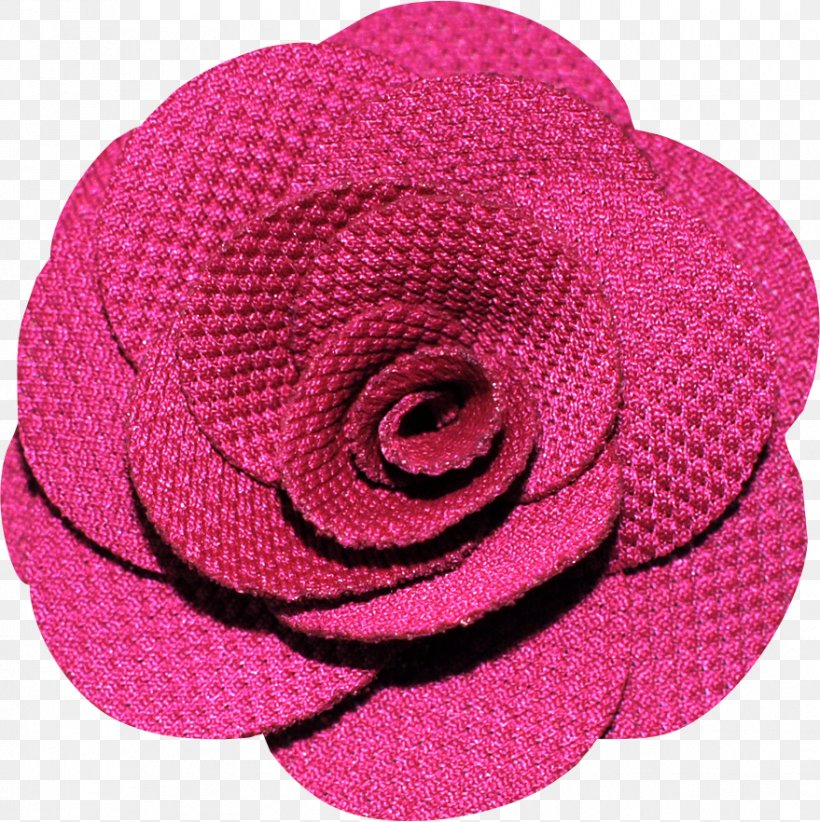 Garden Roses Pink M Cut Flowers Petal, PNG, 879x882px, Garden Roses, Cut Flowers, Flower, Garden, Magenta Download Free