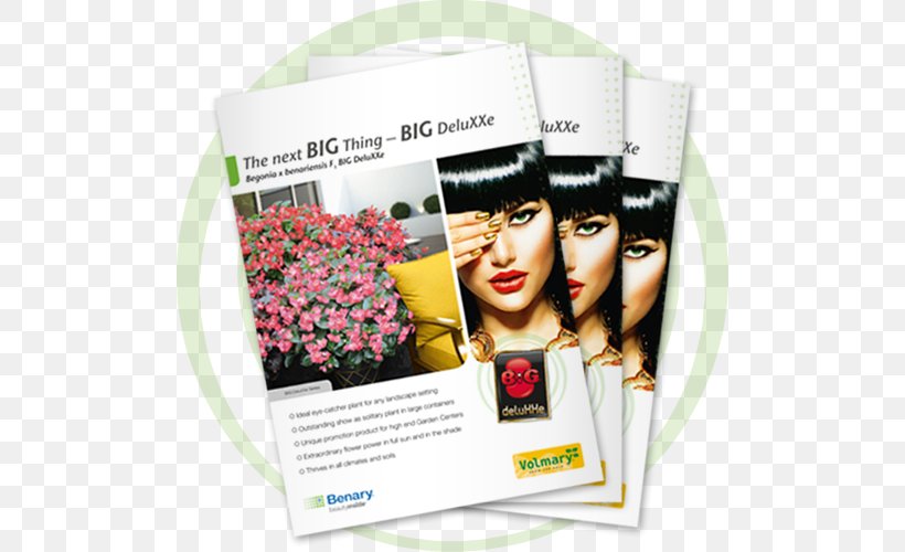 Advertising Flyer Catalog Brochure, PNG, 500x500px, Advertising, Bed Head, Begonia, Brochure, Catalog Download Free