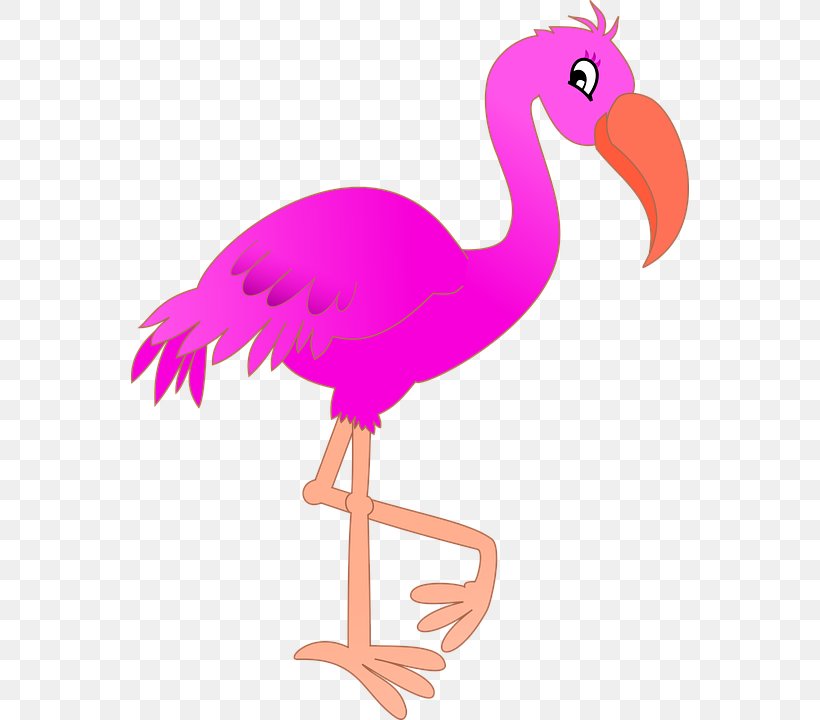 Clip Art Openclipart Free Content Image, PNG, 558x720px, Flamingo, Animal Figure, Beak, Bird, Chicken Download Free