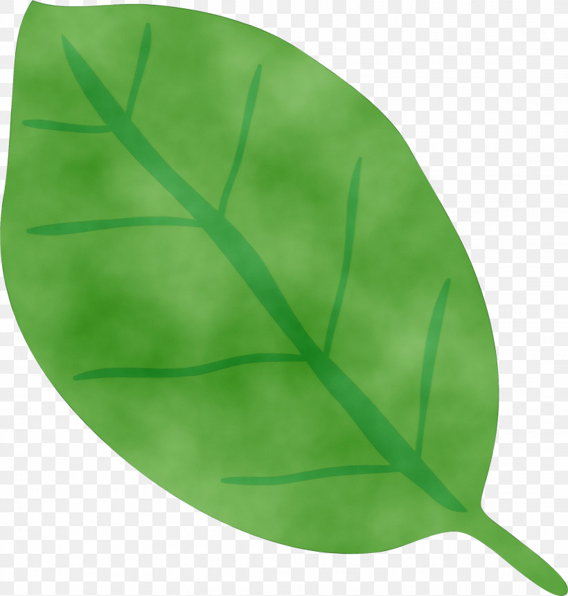 Leaf Green Biology Plant Structure Plants, PNG, 2236x2349px, Watercolor, Biology, Green, Leaf, Paint Download Free