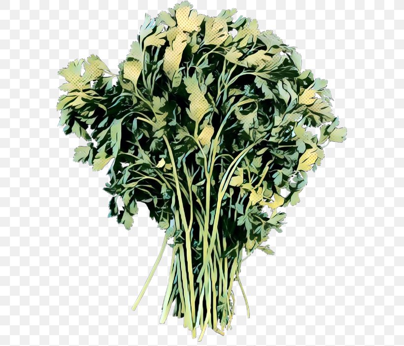 Clip Art Vegetable Greens Food Parsley, PNG, 606x702px, Vegetable, Anthurium, Artificial Flower, Arum Family, Botany Download Free