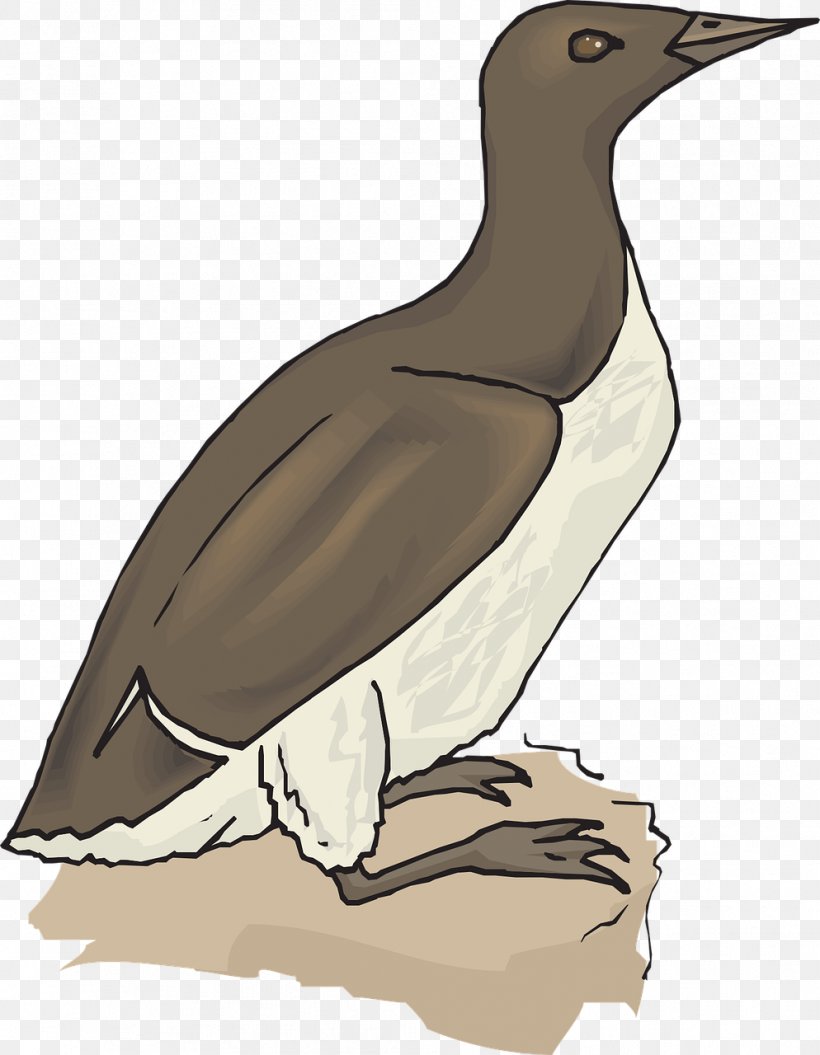 Duck Goose Bird Clip Art, PNG, 994x1280px, Duck, Beak, Bird, Booby, Charadriiformes Download Free