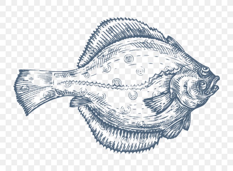 717 Flounder Outline Images, Stock Photos & Vectors | Shutterstock