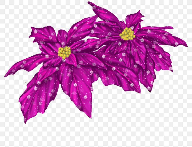 Flower PICT Clip Art, PNG, 800x626px, Flower, Art, Chrysanths, Cut Flowers, Digital Art Download Free