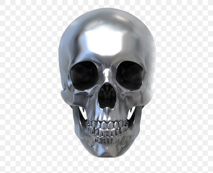 Human Skull Symbolism Metal Calavera, PNG, 490x666px, Skull, Body Jewelry, Bone, Calavera, Drawing Download Free