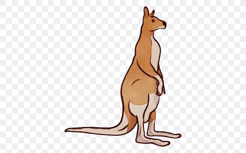 Kangaroo Macropodidae Kangaroo Red Kangaroo Wallaby, PNG, 512x512px, Watercolor, Animal Figure, Kangaroo, Macropodidae, Paint Download Free