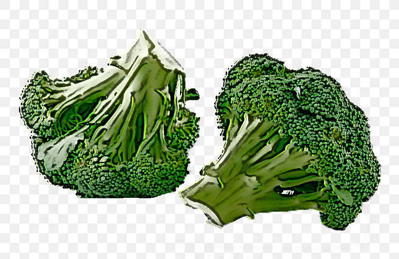 Leaf Vegetable Broccoli Vegetable Wild Cabbage Plant, PNG, 800x533px, Leaf Vegetable, Broccoli, Cabbage, Food, Grass Download Free