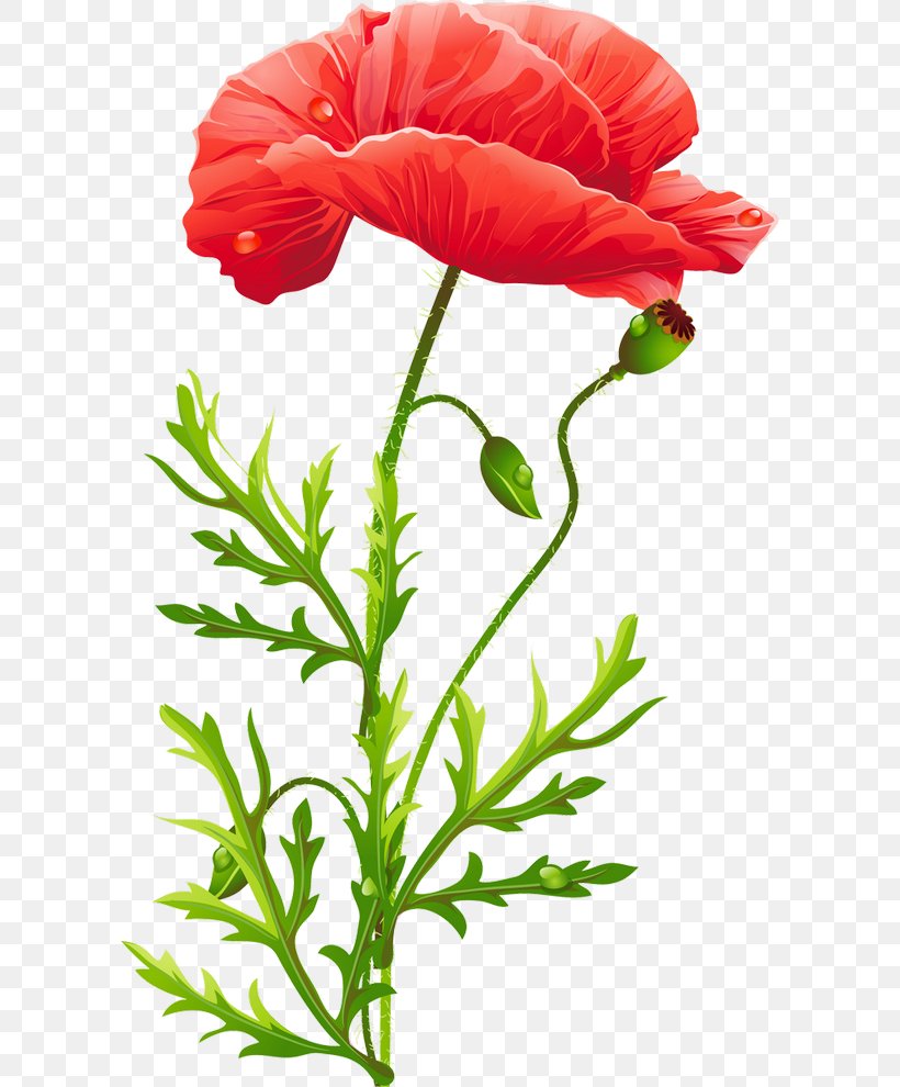 Poppy Flower, PNG, 600x990px, Poppy, Annual Plant, Bead, Bead Embroidery, Blume Download Free