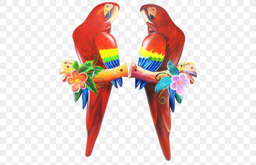 Scarlet Macaw Bird Parakeet Beak, PNG, 567x528px, Macaw, Beak, Bird, Bird Supply, Common Pet Parakeet Download Free