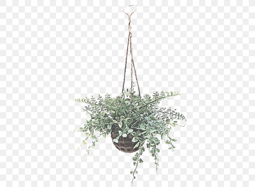 Lighting Plant Light Fixture Chandelier Leaf, PNG, 800x600px, Lighting, Ceiling, Ceiling Fixture, Chandelier, Flower Download Free